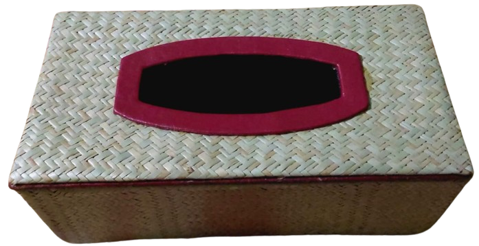 Cane 7