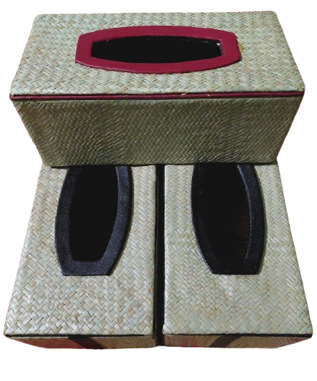 Cane 9
