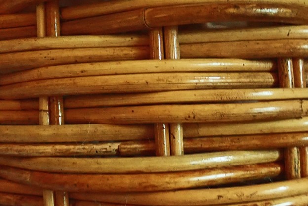 Cane